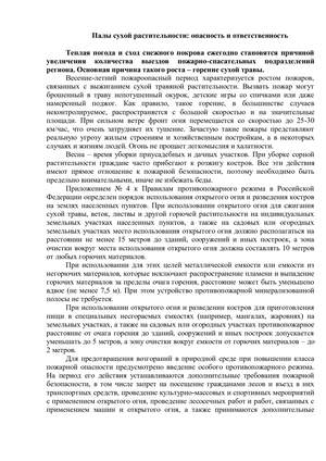 Палы сухой растительности: опасность и ответственность