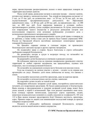 Палы сухой растительности: опасность и ответственность