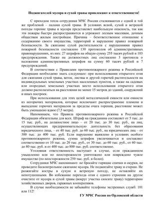 Палы сухой травы