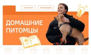 Цикл занятий «Разговоры о важном» - «Домашние питомцы»