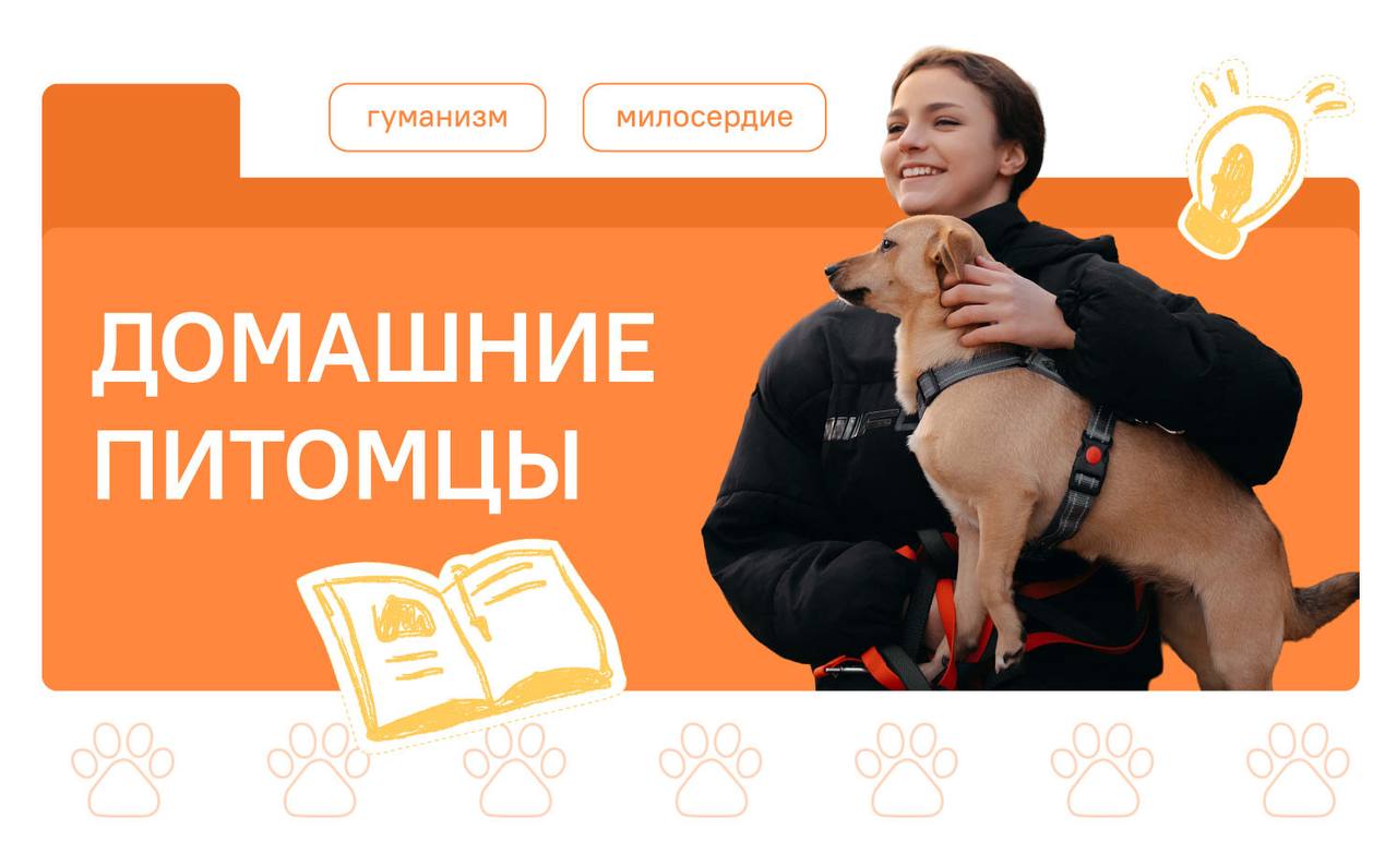 Цикл занятий «Разговоры о важном» - «Домашние питомцы»